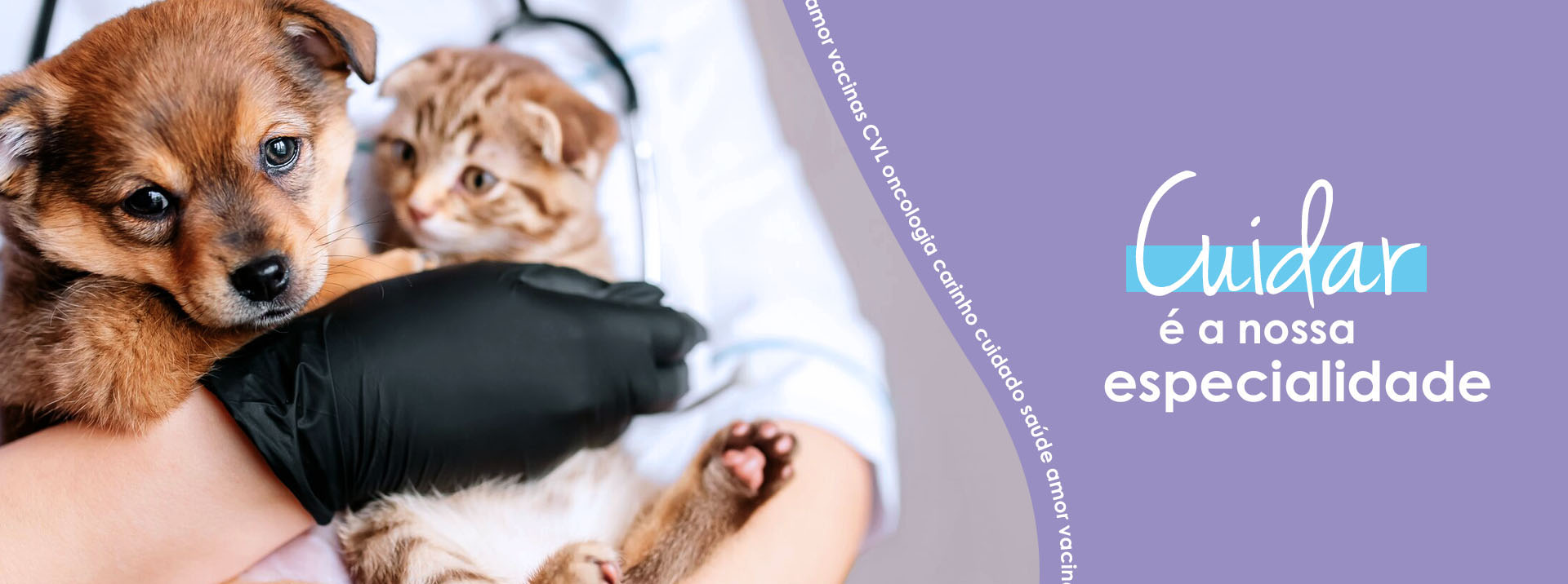 Cuidar é nossa especialidade!
                Imagem de um veterinário com um cachorro e um gato no colo.